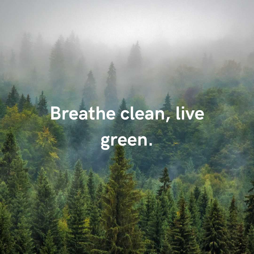 Environmental Quotes Images