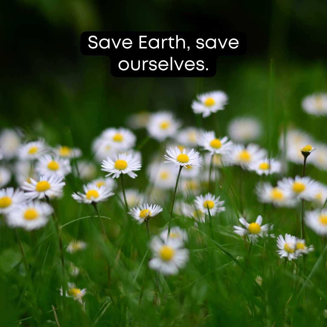 Environmental Quotes for students
