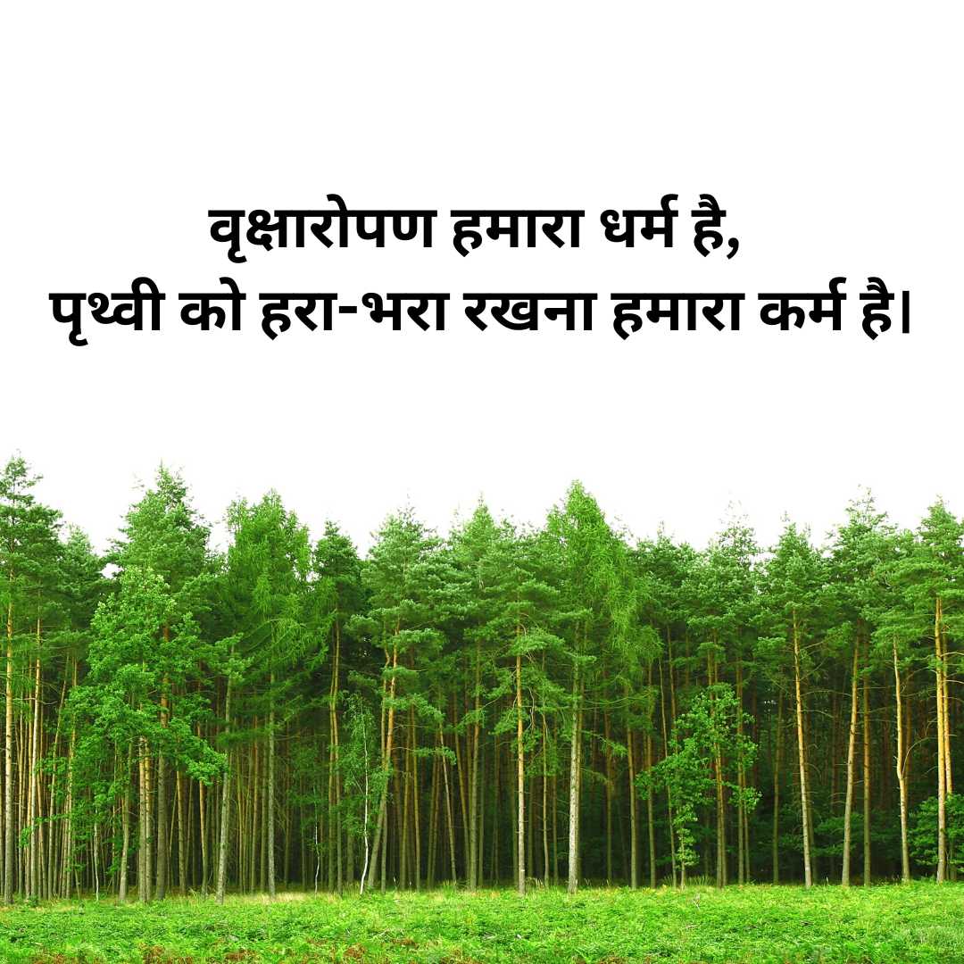 Famous Eco Quotes