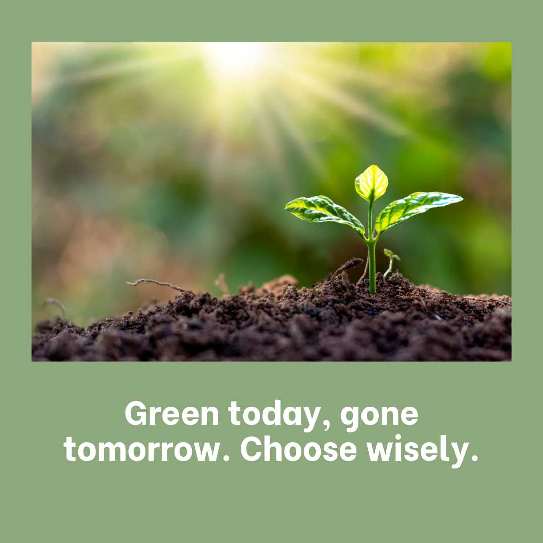 Famous Green Quotes