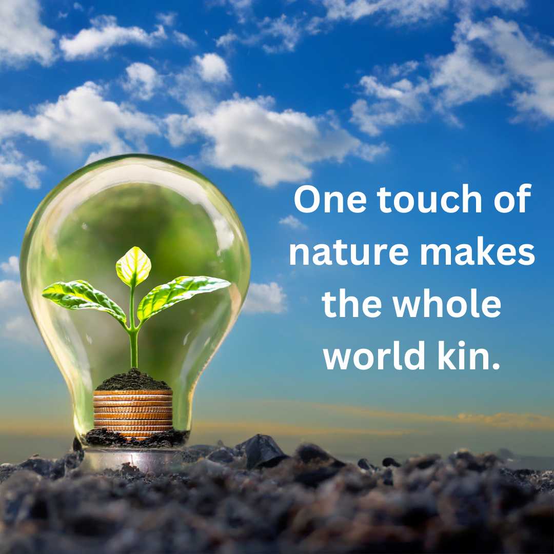 Motivational Quotes on Environment
