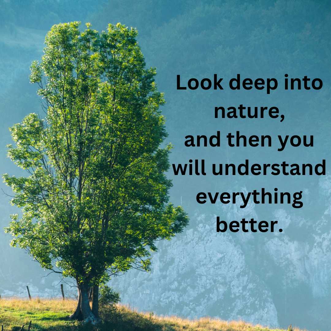 Quotations about Nature 