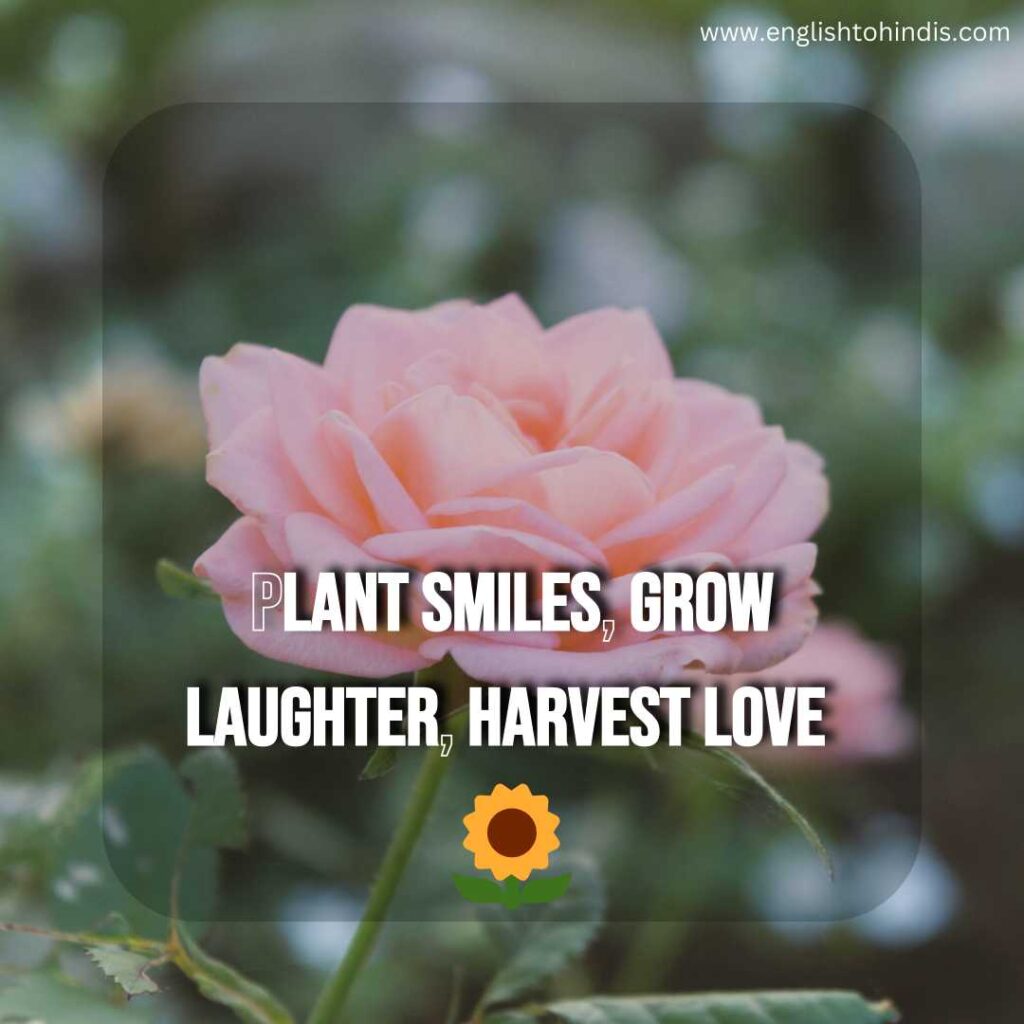 Beautiful Captions for Flowers