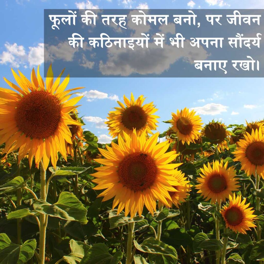 Flowers Quotes in Hindi