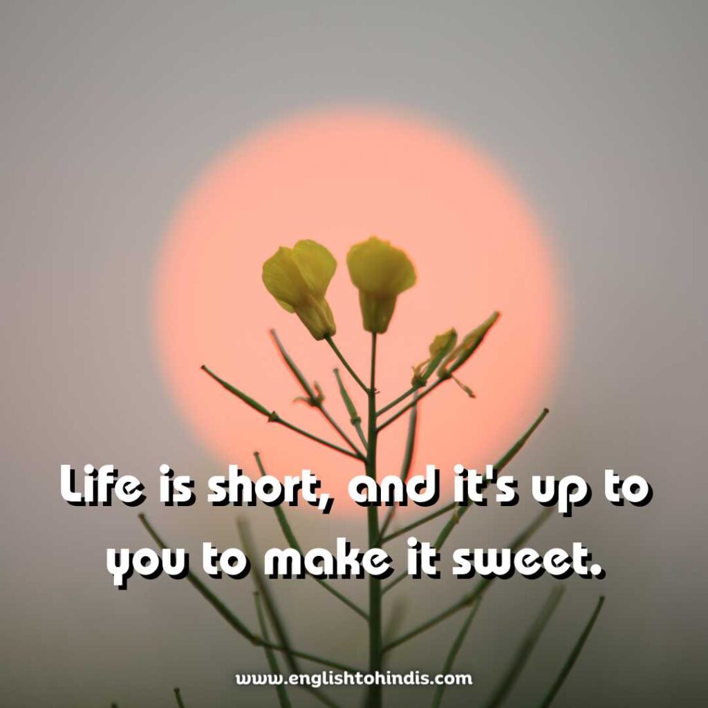 Life Is Too Short Images