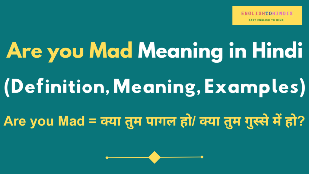 are-you-mad-meaning-in-hindi-are-you-mad-ka-kya-matlab-hota-hai