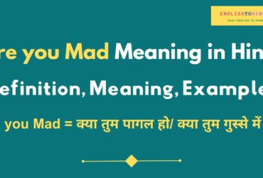 Are you Mad Meaning in Hindi