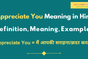 I Appreciate You Meaning in Hindi