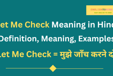 Let Me Check Meaning in Hindi
