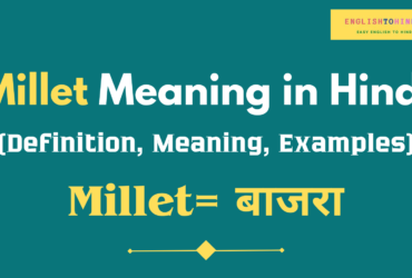 Millet Meaning in Hindi