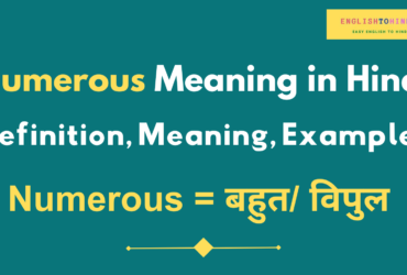 Numerous Meaning in Hindi