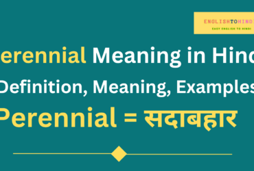 Perennial Meaning in Hindi