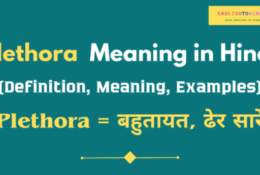 Plethora Meaning in Hindi