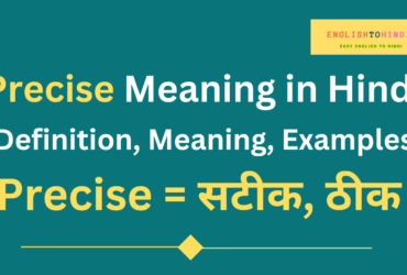 Precise Meaning in Hindi