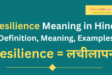 Resilience Meaning in Hindi