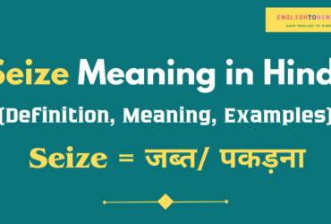 Seize Meaning in Hindi