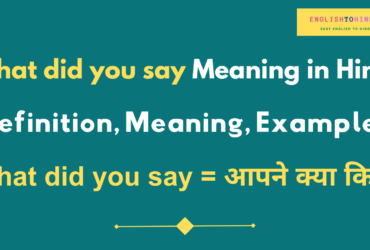 What did you say Meaning in Hindi