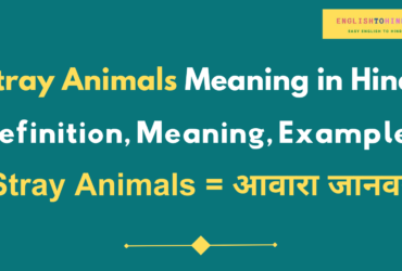 Stray Animals Meaning in Hindi