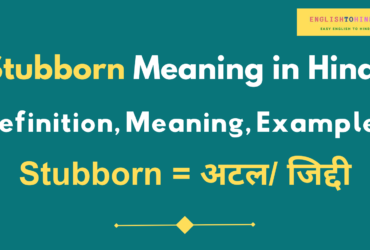 Stubborn Meaning in Hindi