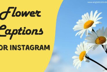 Flower Captions for Instagram in Hindi and English
