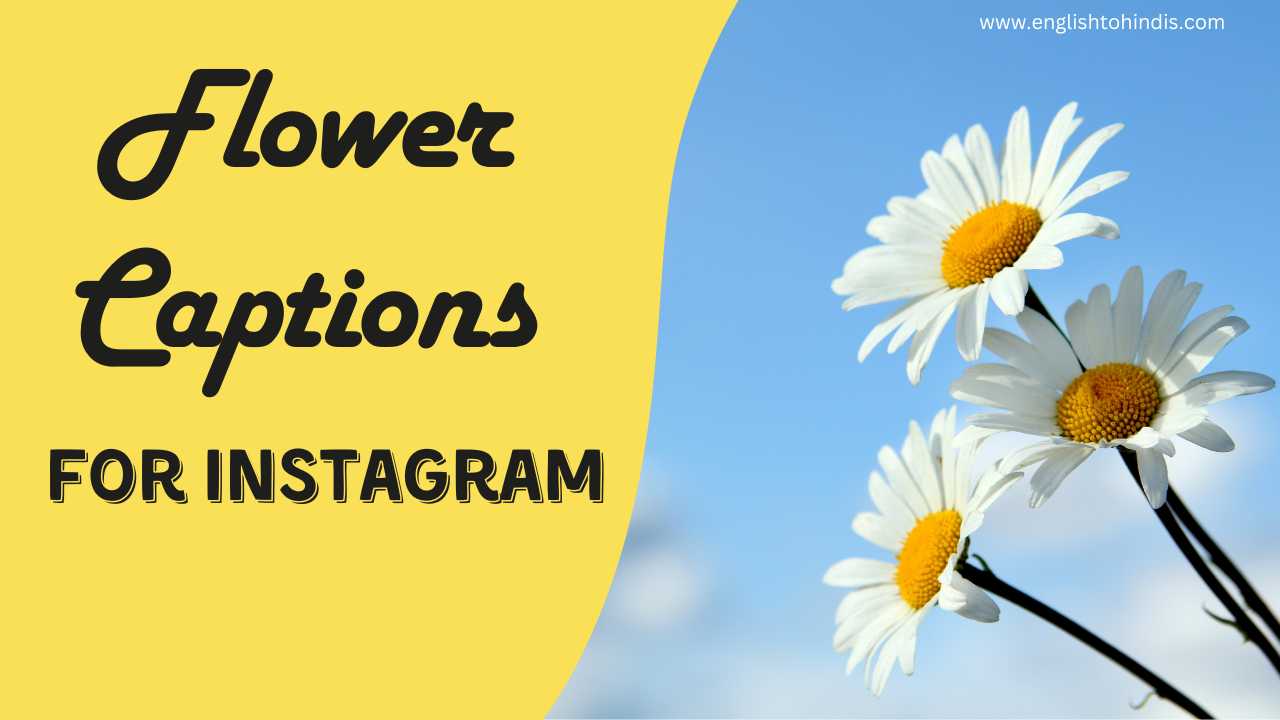 Flower Captions for Instagram in Hindi and English