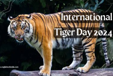 International Tiger Day 2024