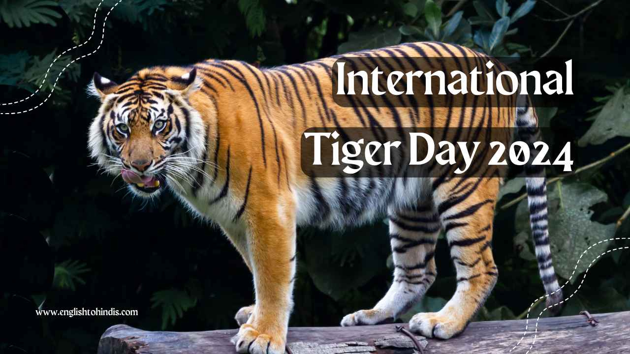 International Tiger Day 2024